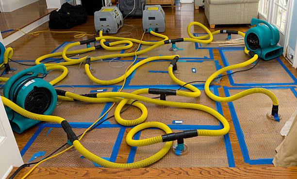 Professional Water Damage Repair technician working in Douglassville, PA